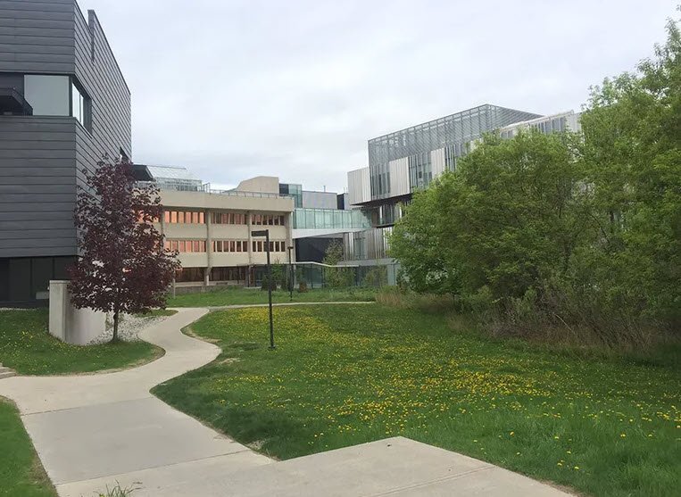 University of Toronto Mississauga, Canada